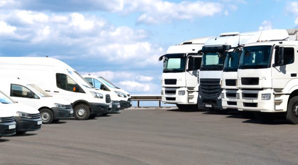 Nutzfahrzeuge Range – Aufgestellt in einer Reihe sind mehrere Nutzfahrzeuge zu sehen